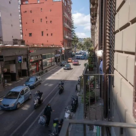 Arcoleo Prestige By Dimorra